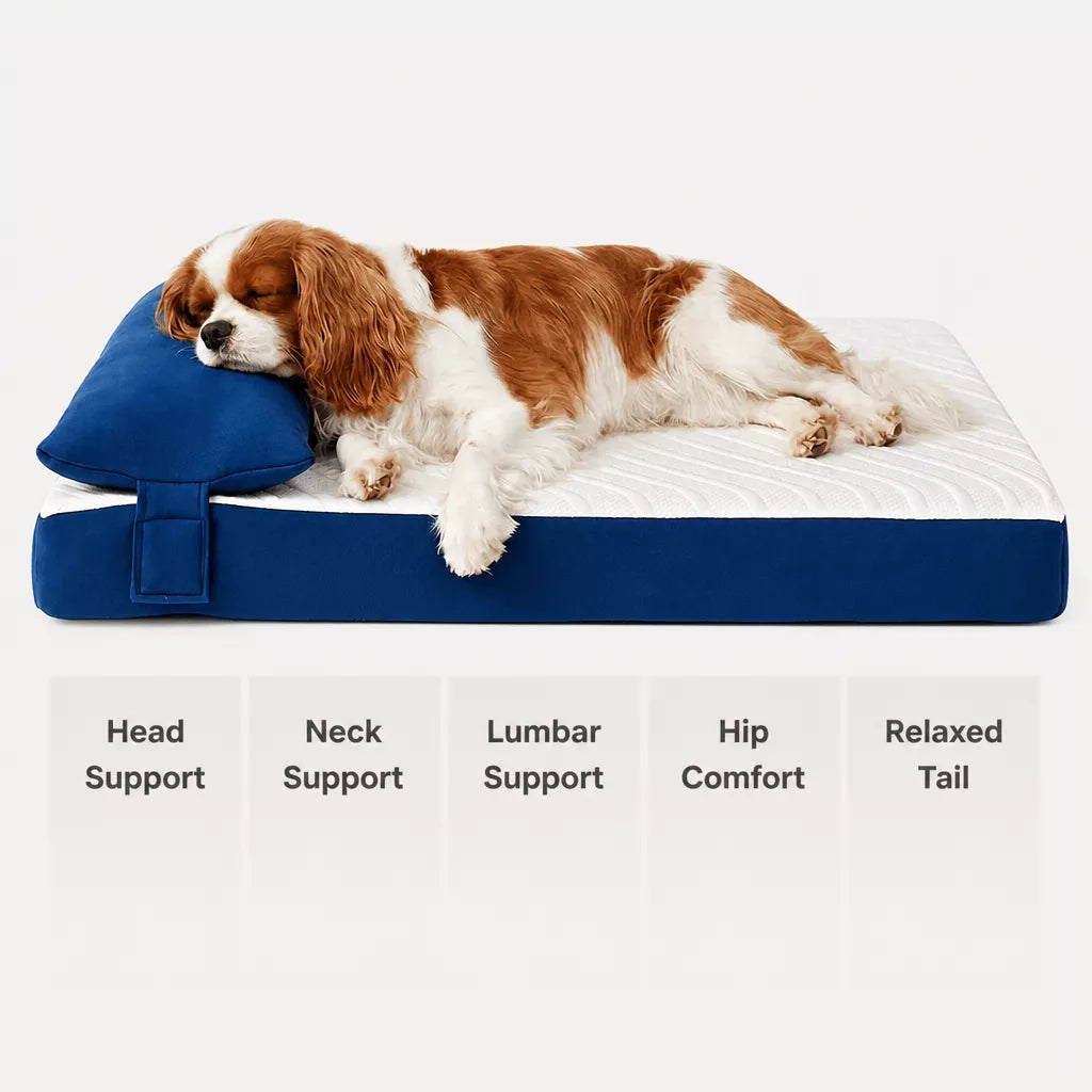 Memory Foam Pet Bed
