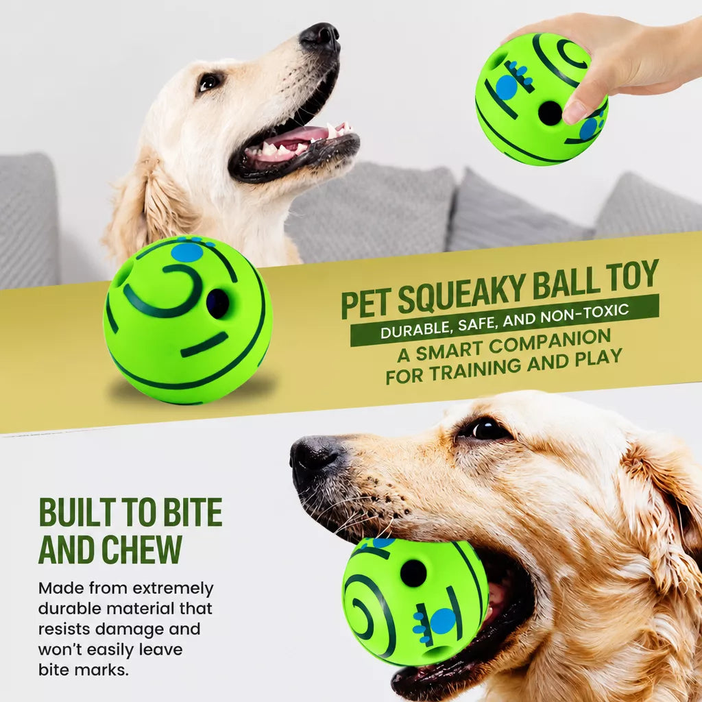 Squeaky Vinyl Ball Toy for Dogs