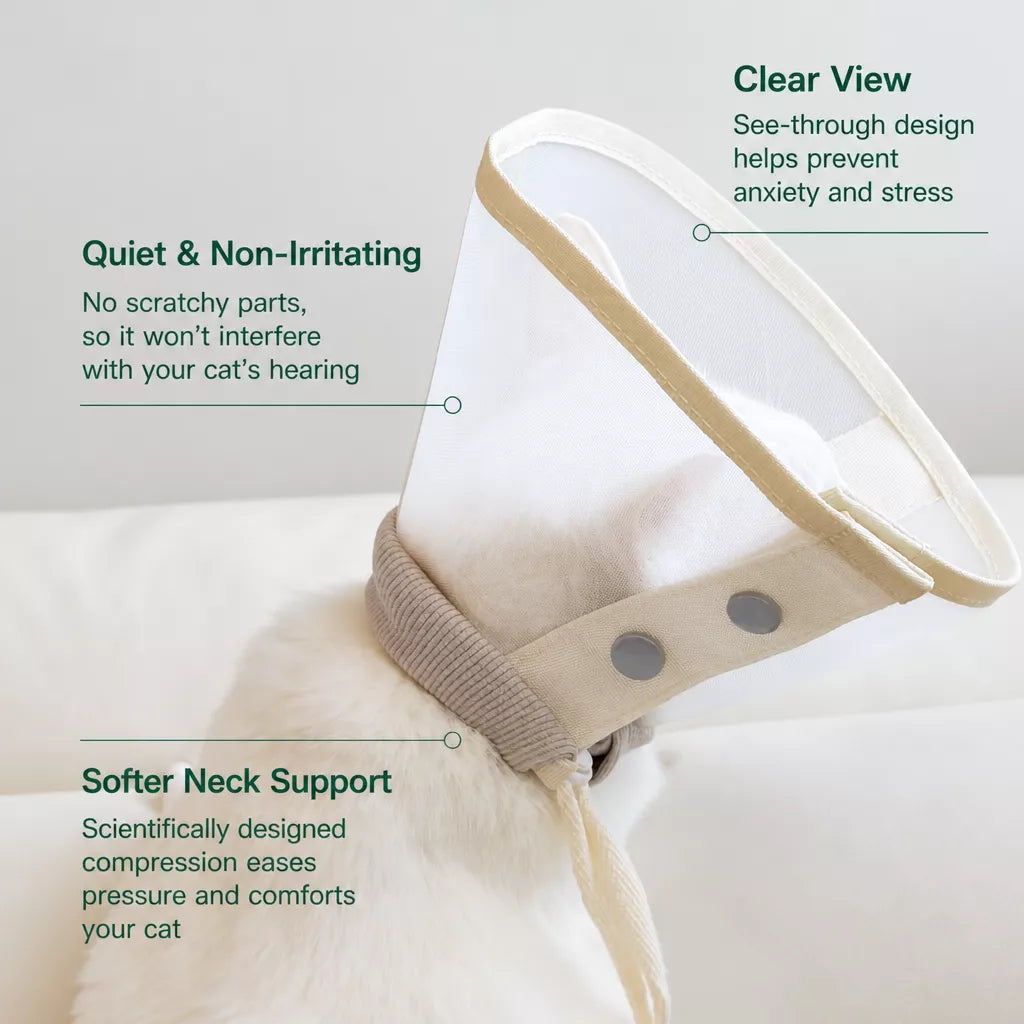 Lightweight Plastic Recovery Cone for Dogs and Cats