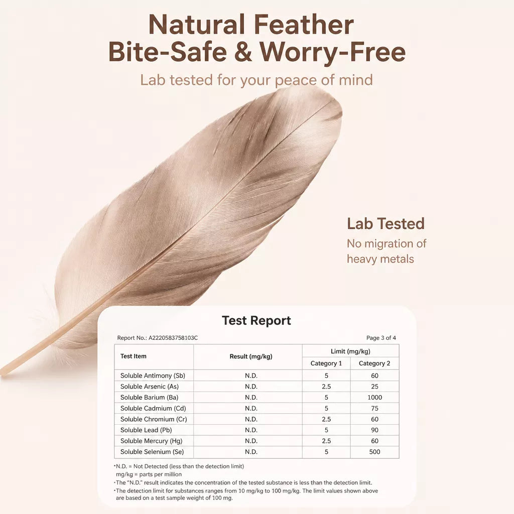 Cat Teaser Wand with Feather Attachments