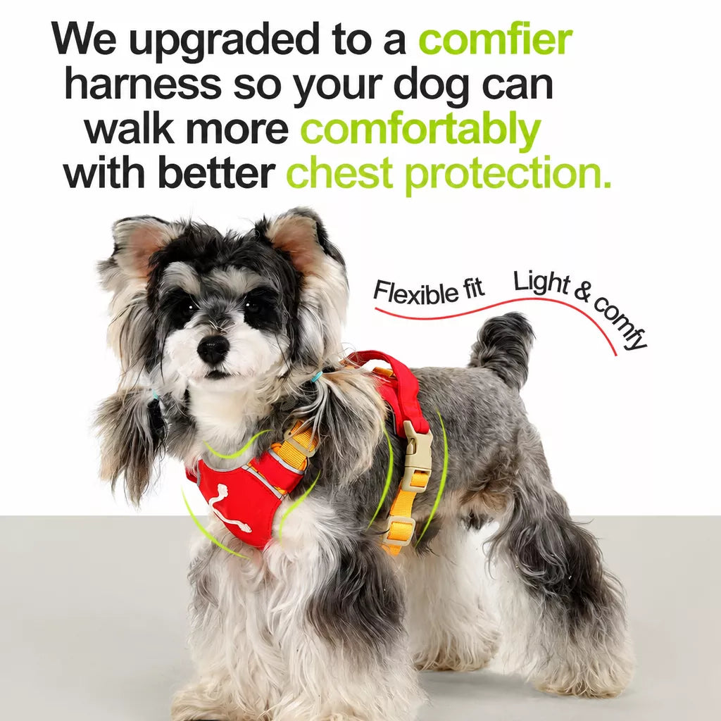 Adjustable Vest-Style Dog Harness with Leash for Walks