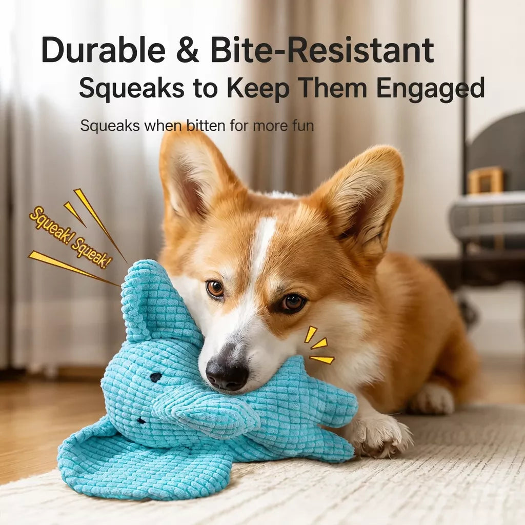 Squeaky Dog Toys with Balls, Rope Toys and Flying Discs