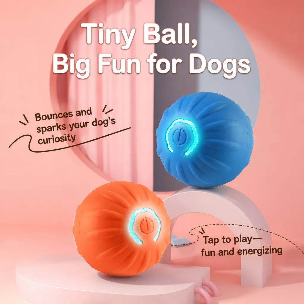 Interactive Electric Squeaky Bouncing Ball Toy for Dogs