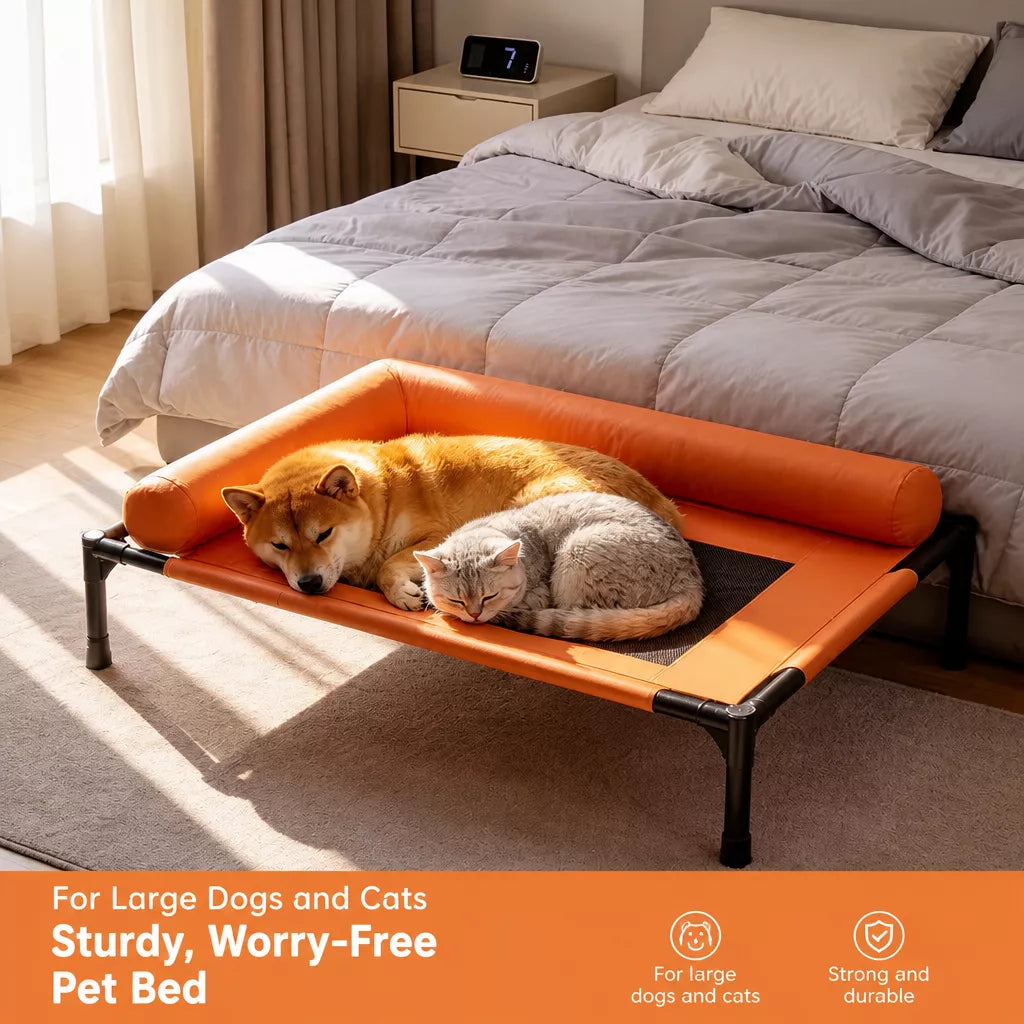 Raised Cot-Style Pet Bed for Small to Medium Dogs and Cats