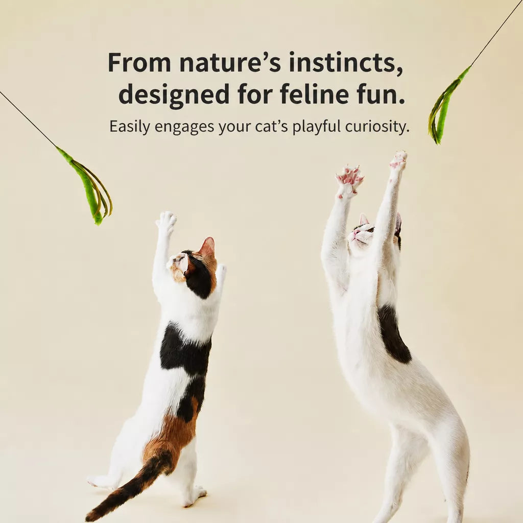 Foxtail Cat Teaser Wand Toy