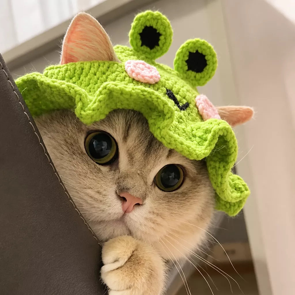 Pet Costume Hats for Dogs and Cats