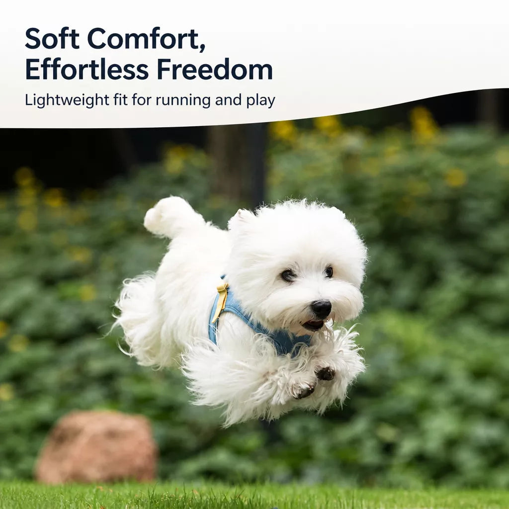 Adjustable Nylon Vest Harness for Small Dogs