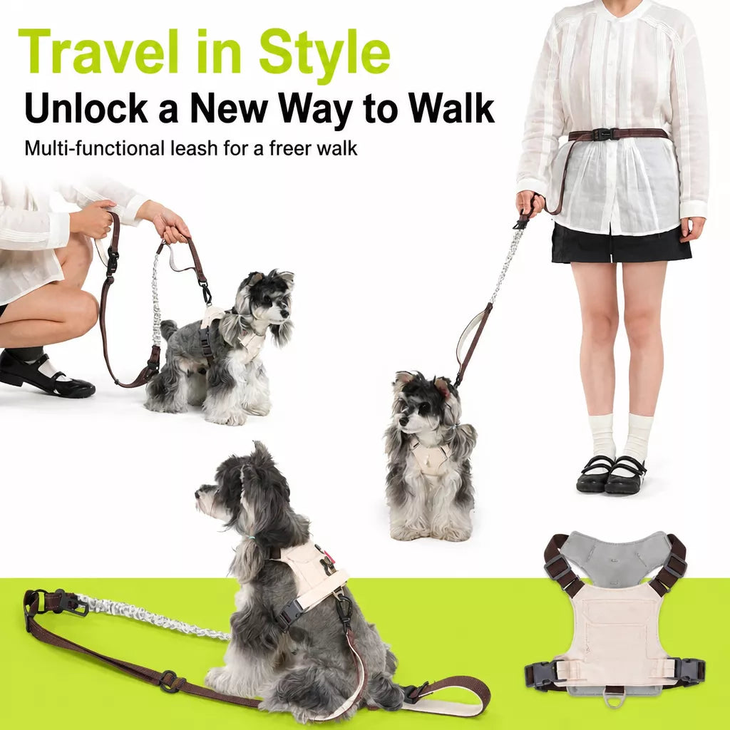 Adjustable Vest-Style Dog Harness with Leash for Walks