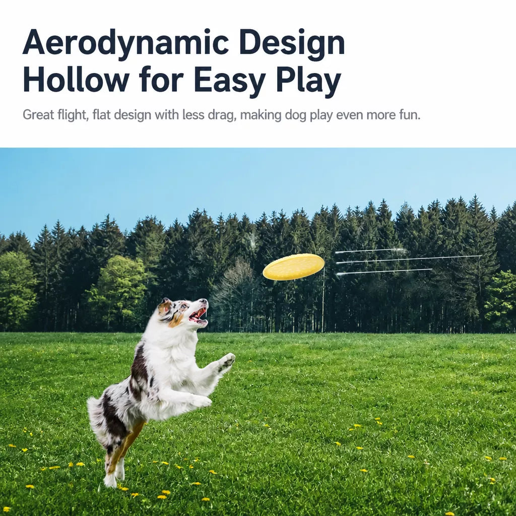 Soft Resin Dog Frisbee for Outdoor Fetch and Training