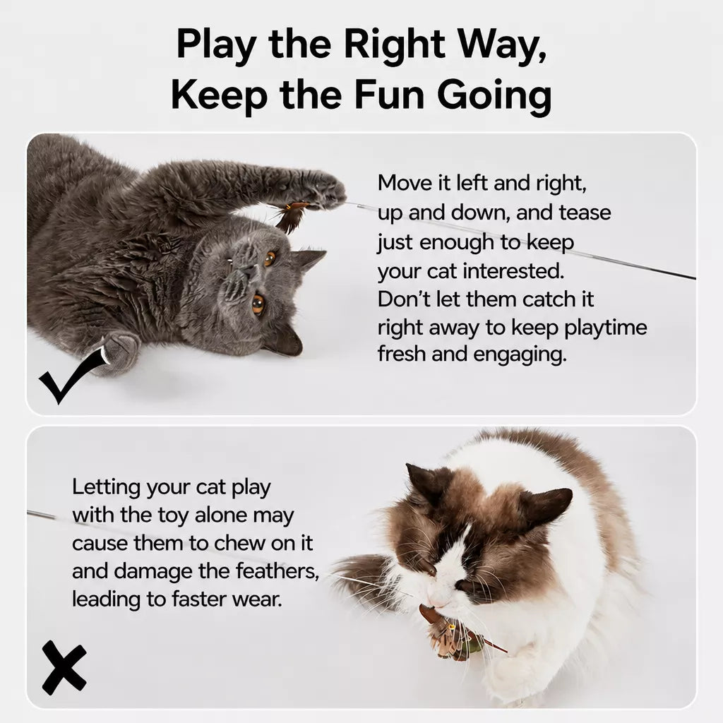 Retractable Cat Teaser Wand with Interchangeable Feather & Plush Heads