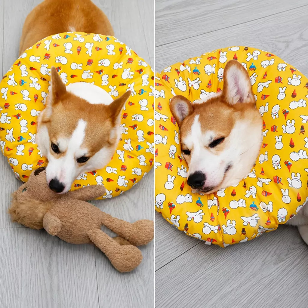Soft Waterproof Pet Recovery Collar
