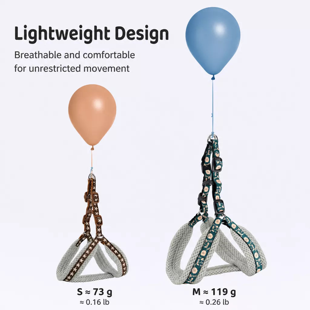 Small Dog Vest Harness and Leash
