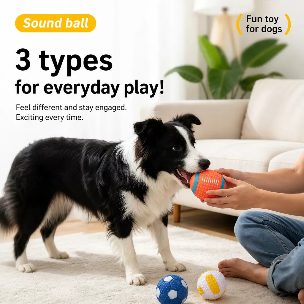 Squeaky Vinyl Sports Ball Toys for Small and Medium Dogs