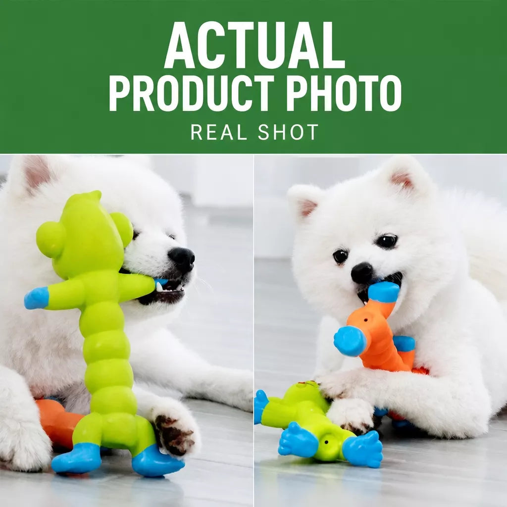 Latex Squeaky Dog Toy for Small and Medium Dogs
