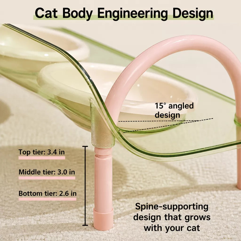 Ceramic Double-Bowl Slow Feeder Set for Pets