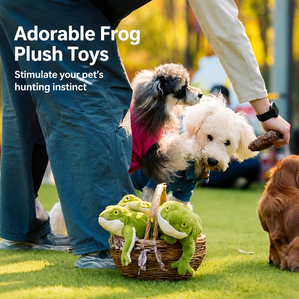 Plush Squeaky Frog Toy for Dogs