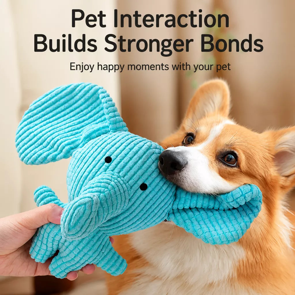 Squeaky Dog Toys with Balls, Rope Toys and Flying Discs