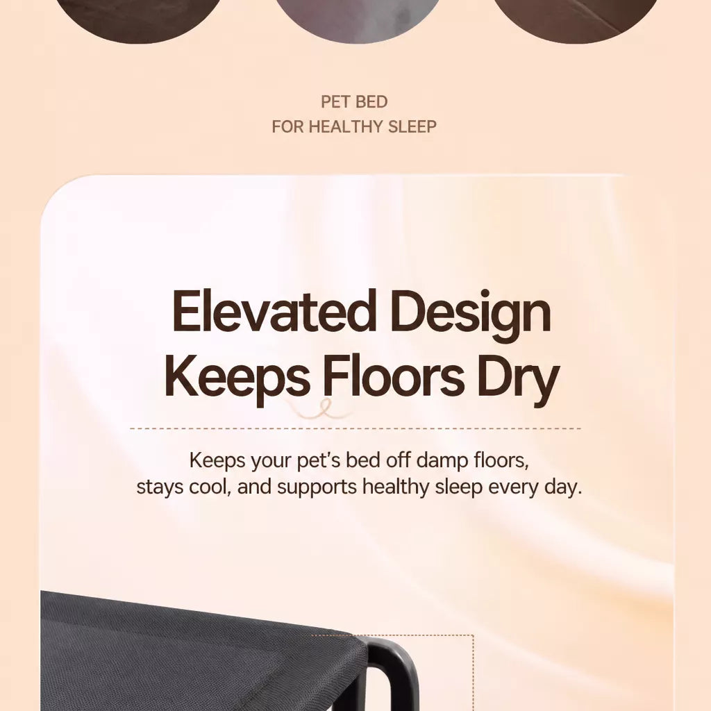 Elevated Mesh Dog Cot Bed