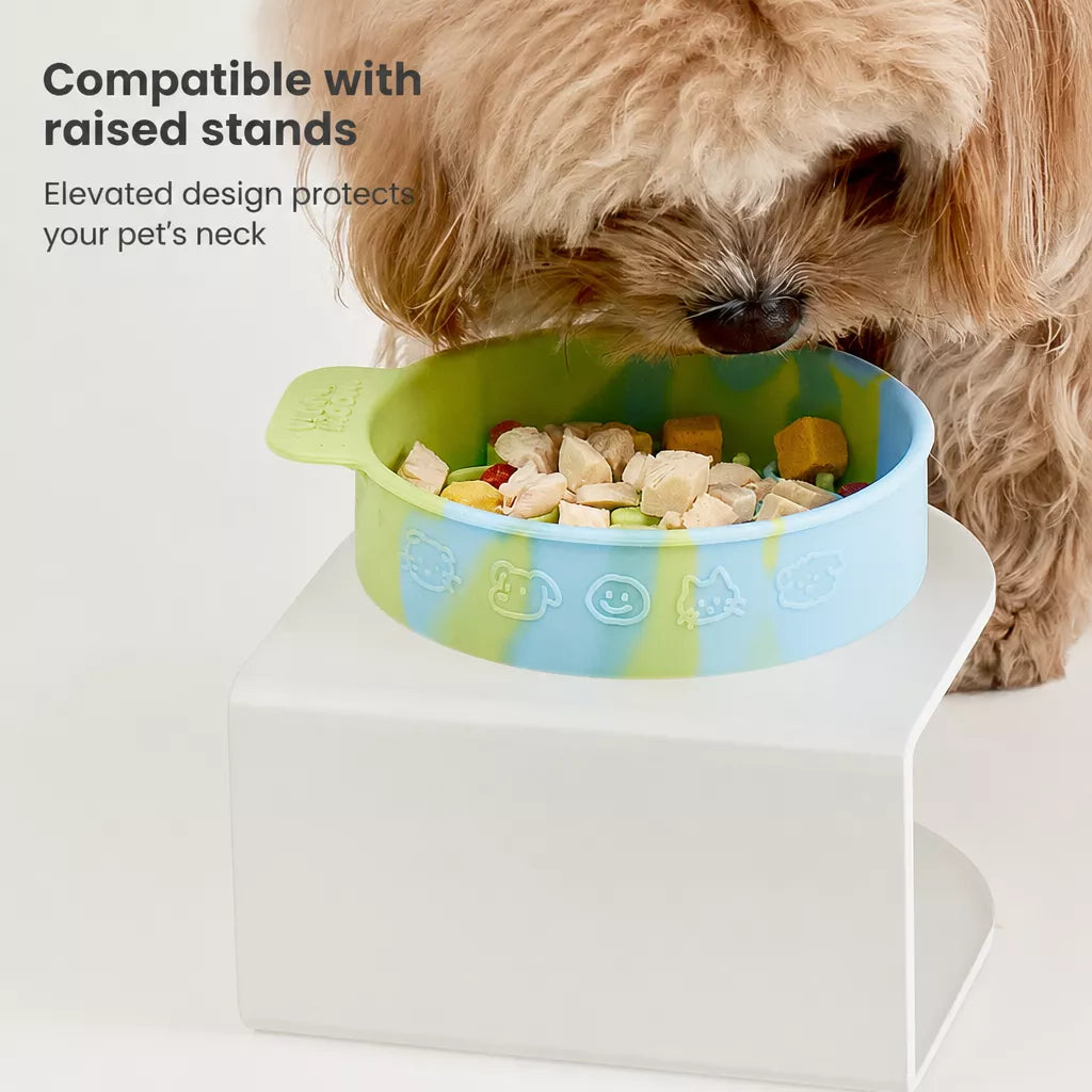Slow Feeder Pet Bowl for Dogs and Cats