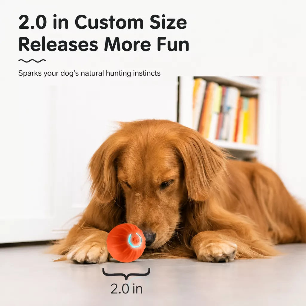 Interactive Electric Squeaky Bouncing Ball Toy for Dogs