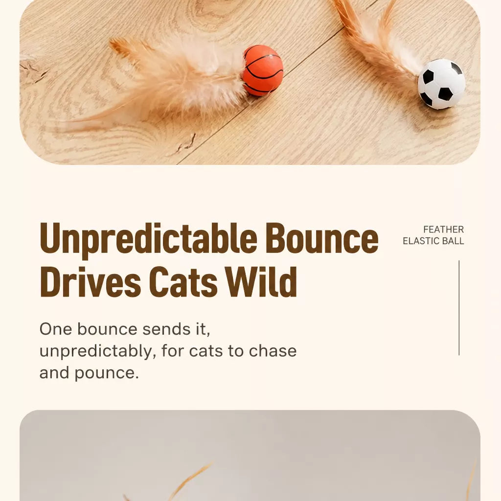 Cat Feather Ball Toy