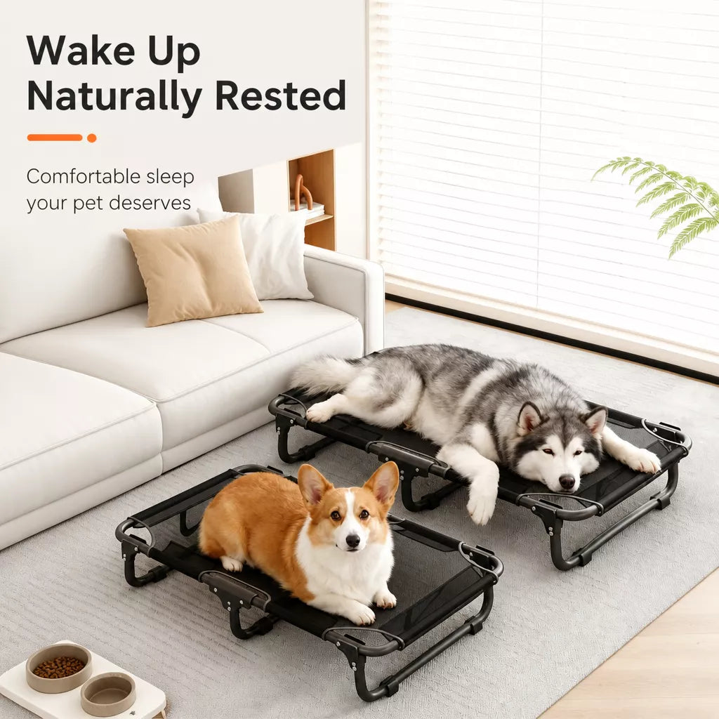 Elevated Foldable Mesh Dog Bed