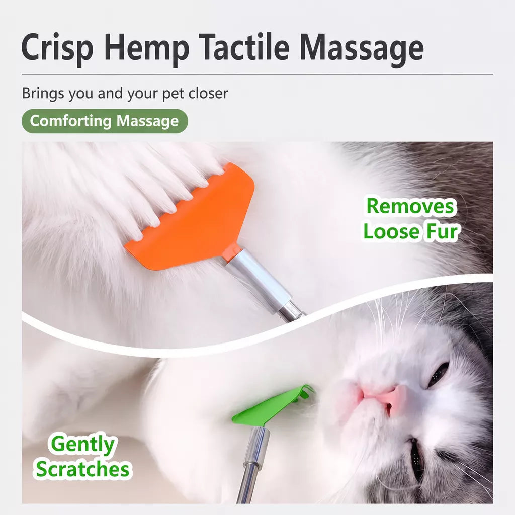 Extendable Pet Scratcher Wand