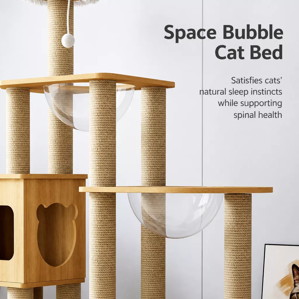 Cat Tree with Enclosed Cat House and Scratching Posts