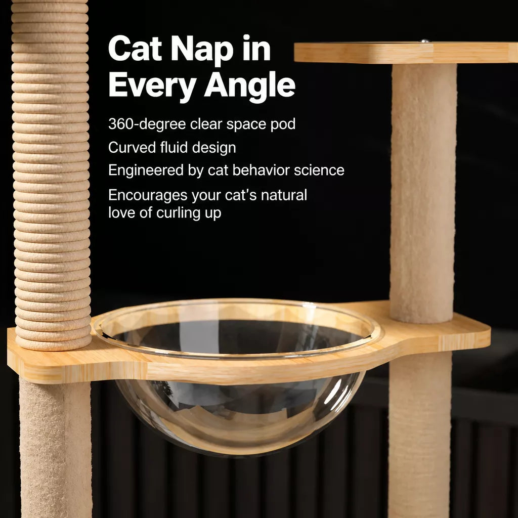 Mini Cat Tree with Enclosed Cat House and Scratching Post