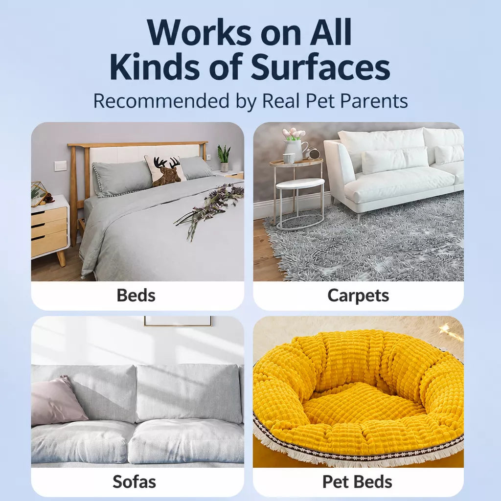 Pet Hair Removal Brush for Carpets, Sofas & Bedding