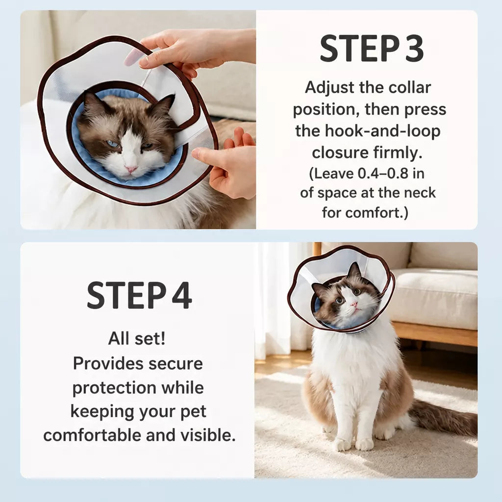 Plastic Recovery Cone for Dogs