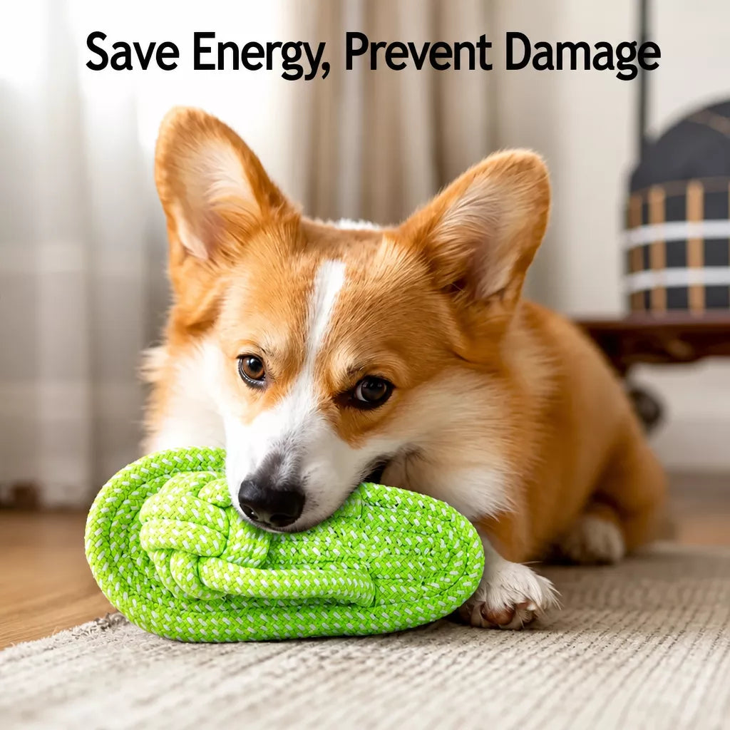 Squeaky Chew Toy Sets for Small Dogs