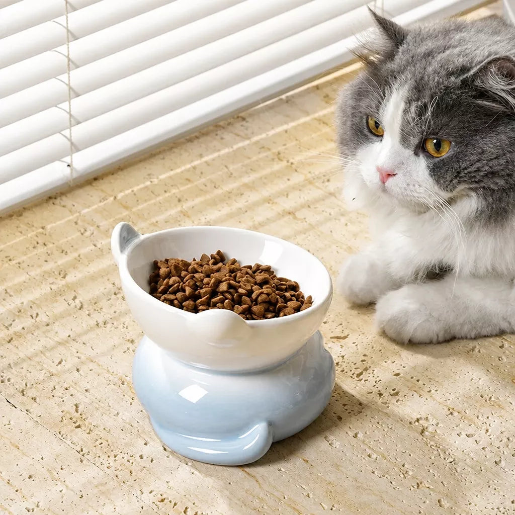 Elevated Ceramic Cat Food Bowl