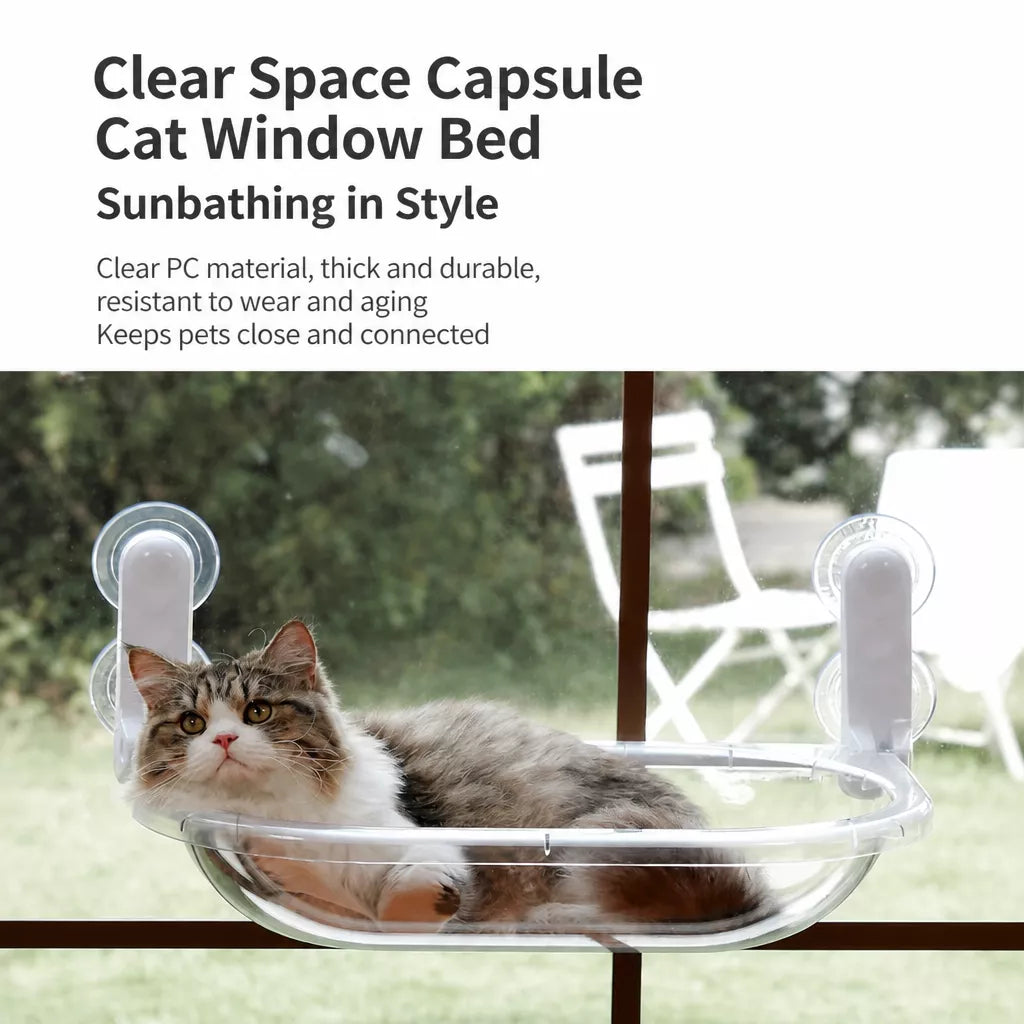 Foldable Transparent Cat Window Capsule Hammock