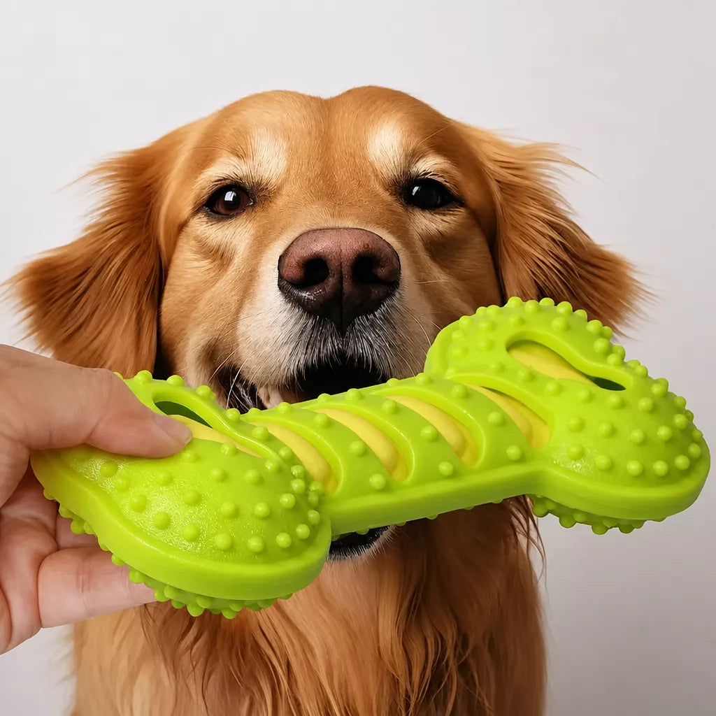 Double-Layer Squeaky Bone Toy for Large Dogs