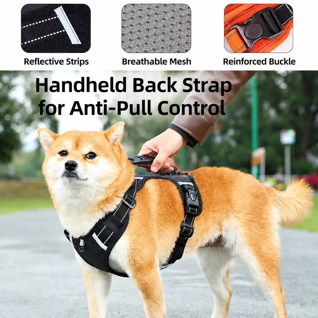 Dog Vest Harness and Leash for Everyday Walks