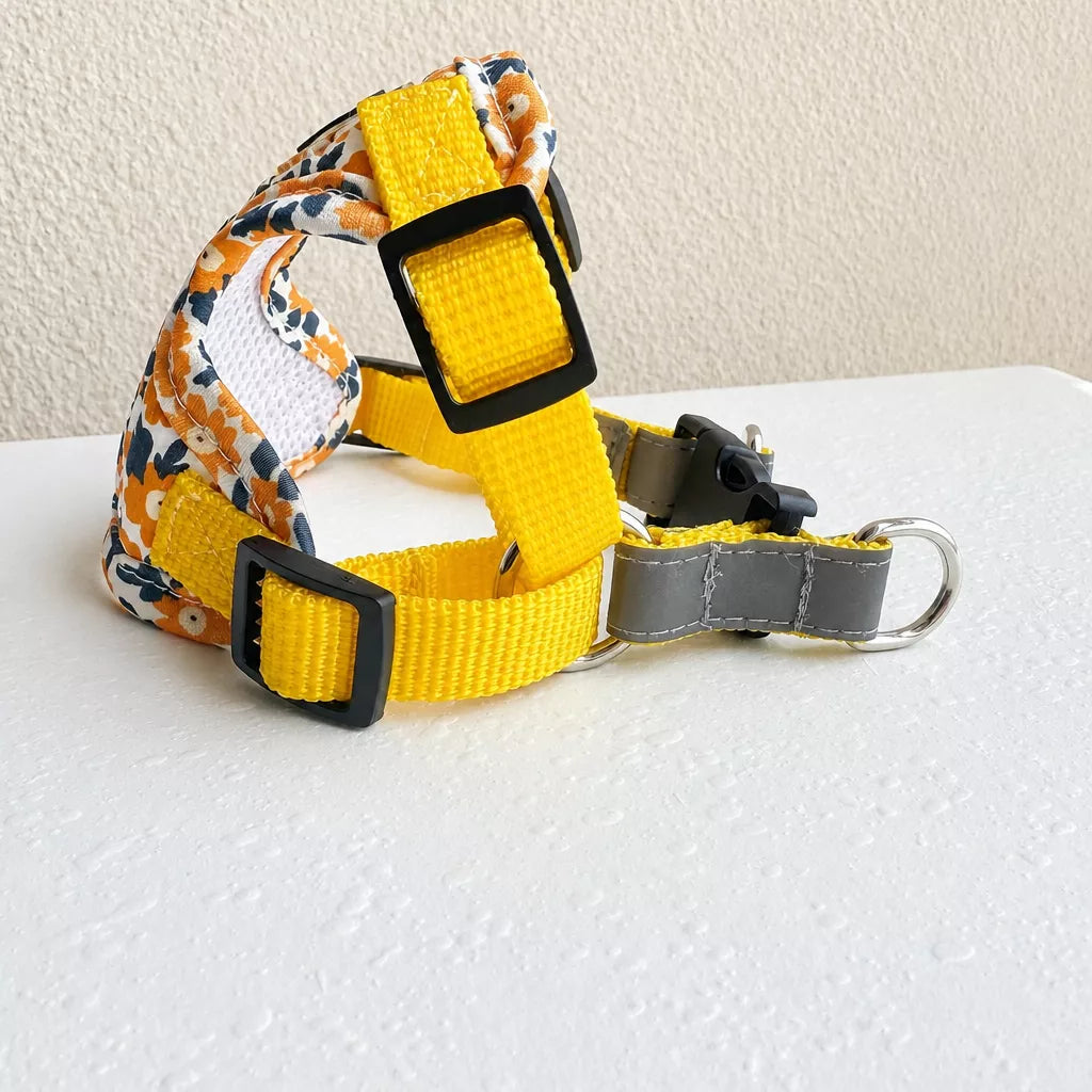 Reflective Nylon Vest Harness and Leash for Small Dogs & Cats