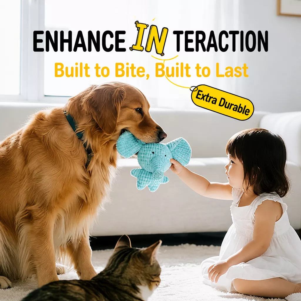 Plush Squeaky Pet Toy for Dogs and Cats – Assorted Animal Designs
