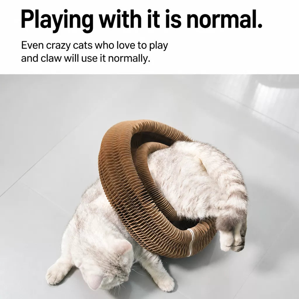 Foldable Accordion Cat Scratcher Toy with Bell
