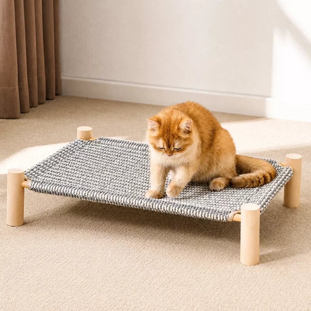 Cot-Style Pet Bed with Scratching Surface