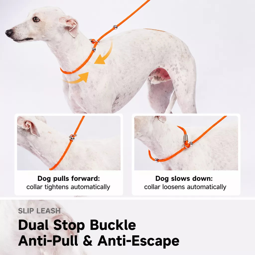 Integrated Slip Lead Dog Leash with Close-Control Handle