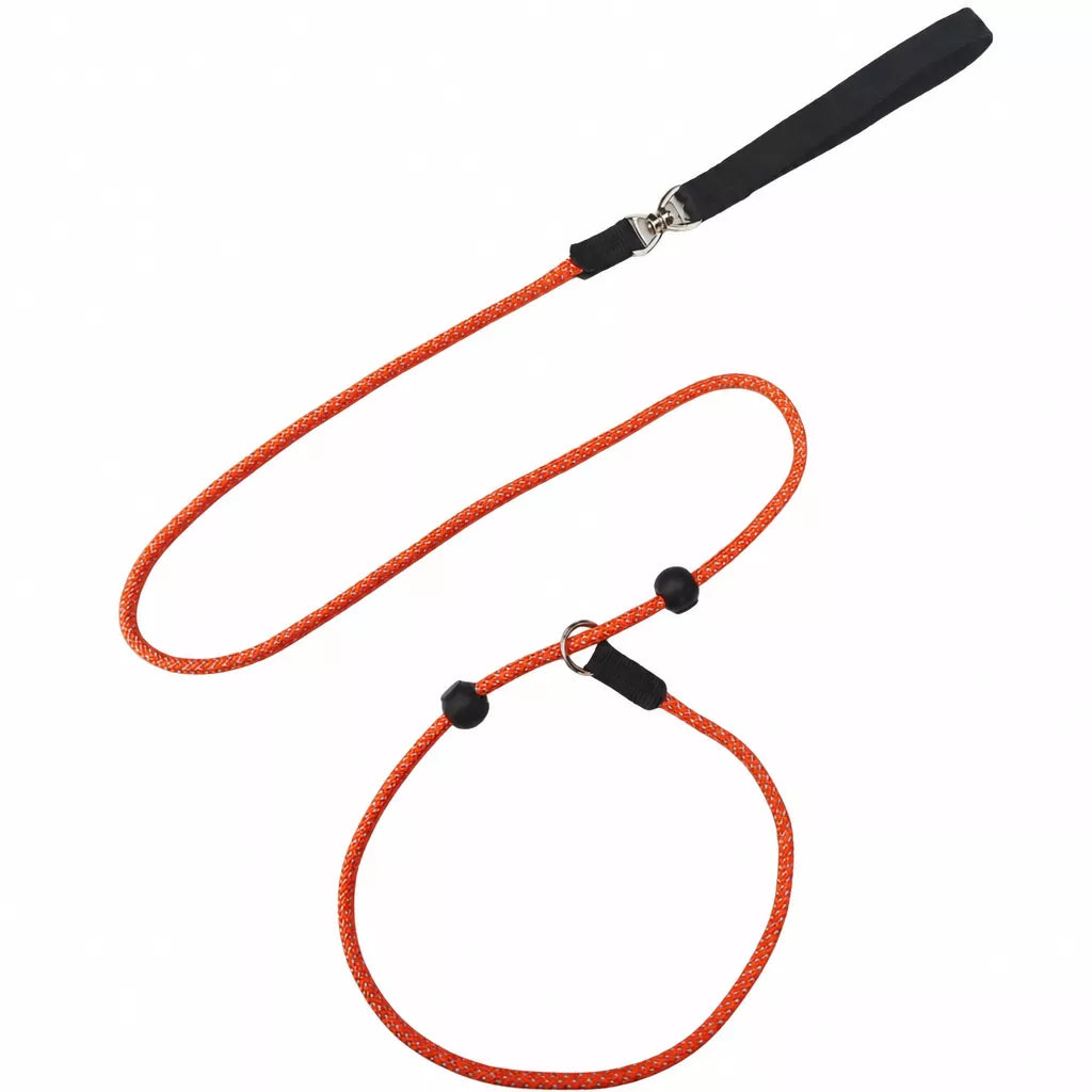 Nylon Rope-Style Dog Training Leash for Small and Medium Dogs
