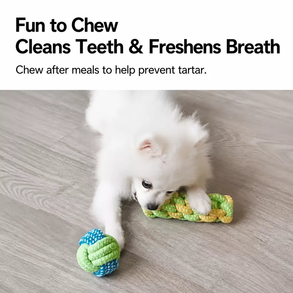 Squeaky Rope Chew Toys for Small and Medium Dogs