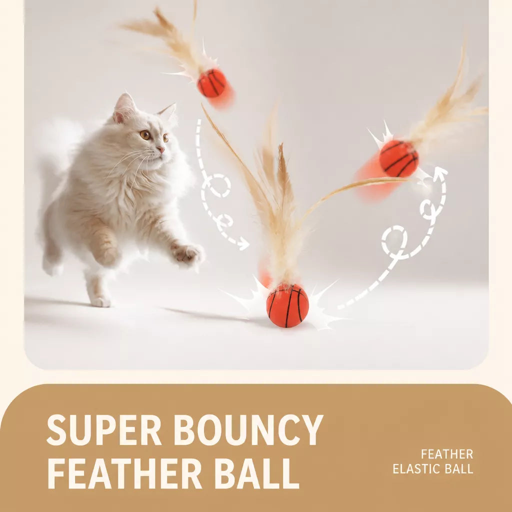 Cat Feather Ball Toy