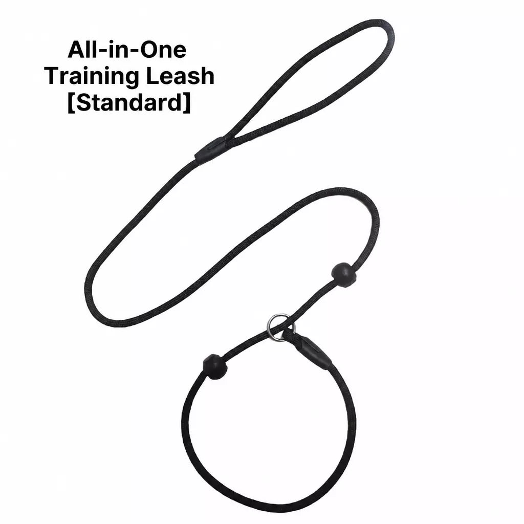 Nylon Rope-Style Dog Training Leash for Small and Medium Dogs