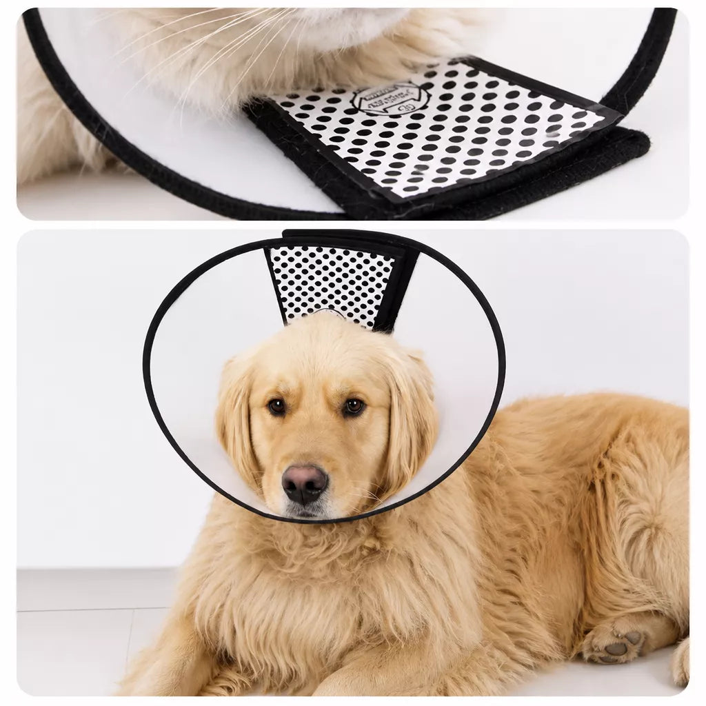 Pet Elizabethan Cone Collar
