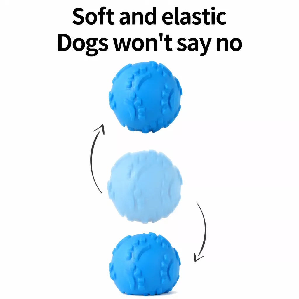 TPR Paw Print Squeaky Ball Dog Toy for Interactive Play