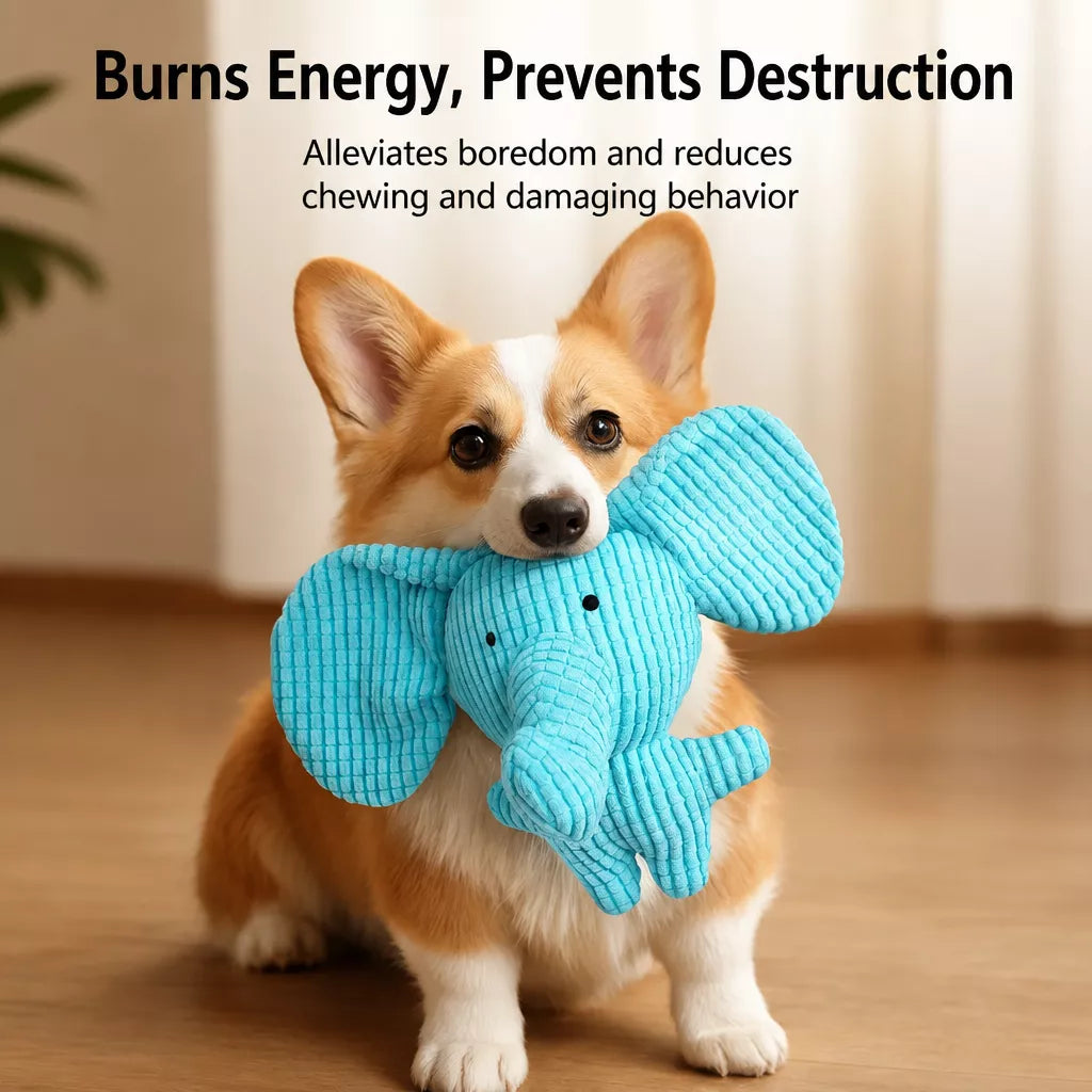 Squeaky Dog Toys with Balls, Rope Toys and Flying Discs
