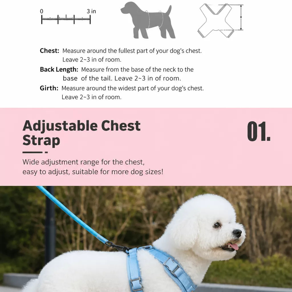 Nylon Round Dog Leash for Small to Medium Dogs