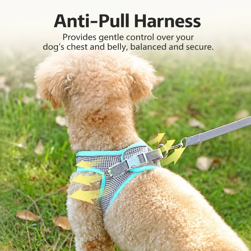 Nylon Vest Harness and Leash for Small Dogs